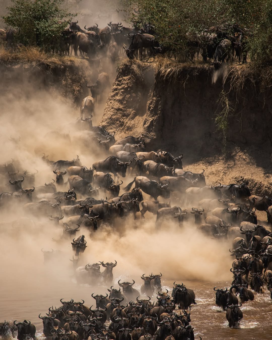 Serengeti National Park