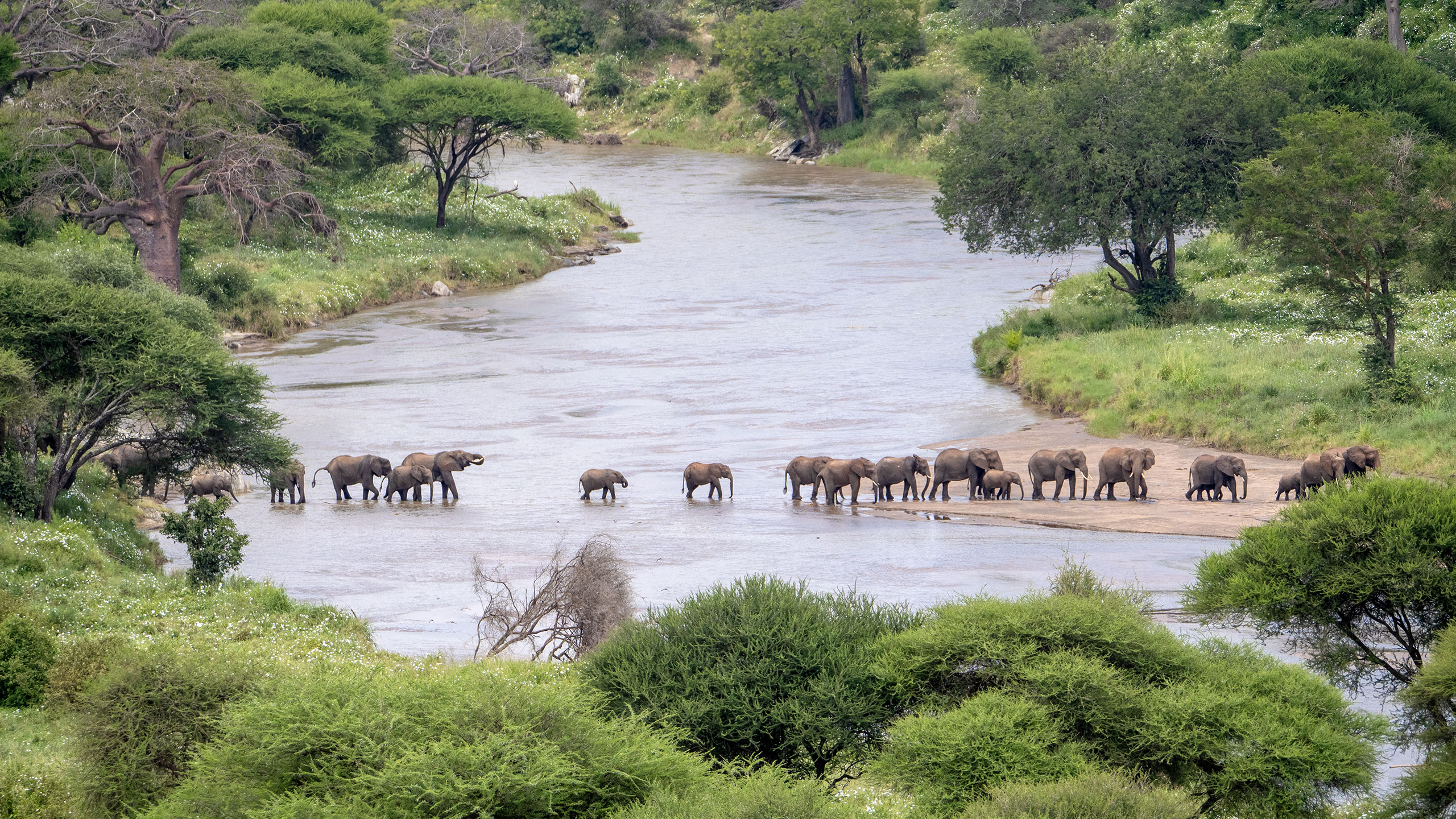 Tarangire National Park