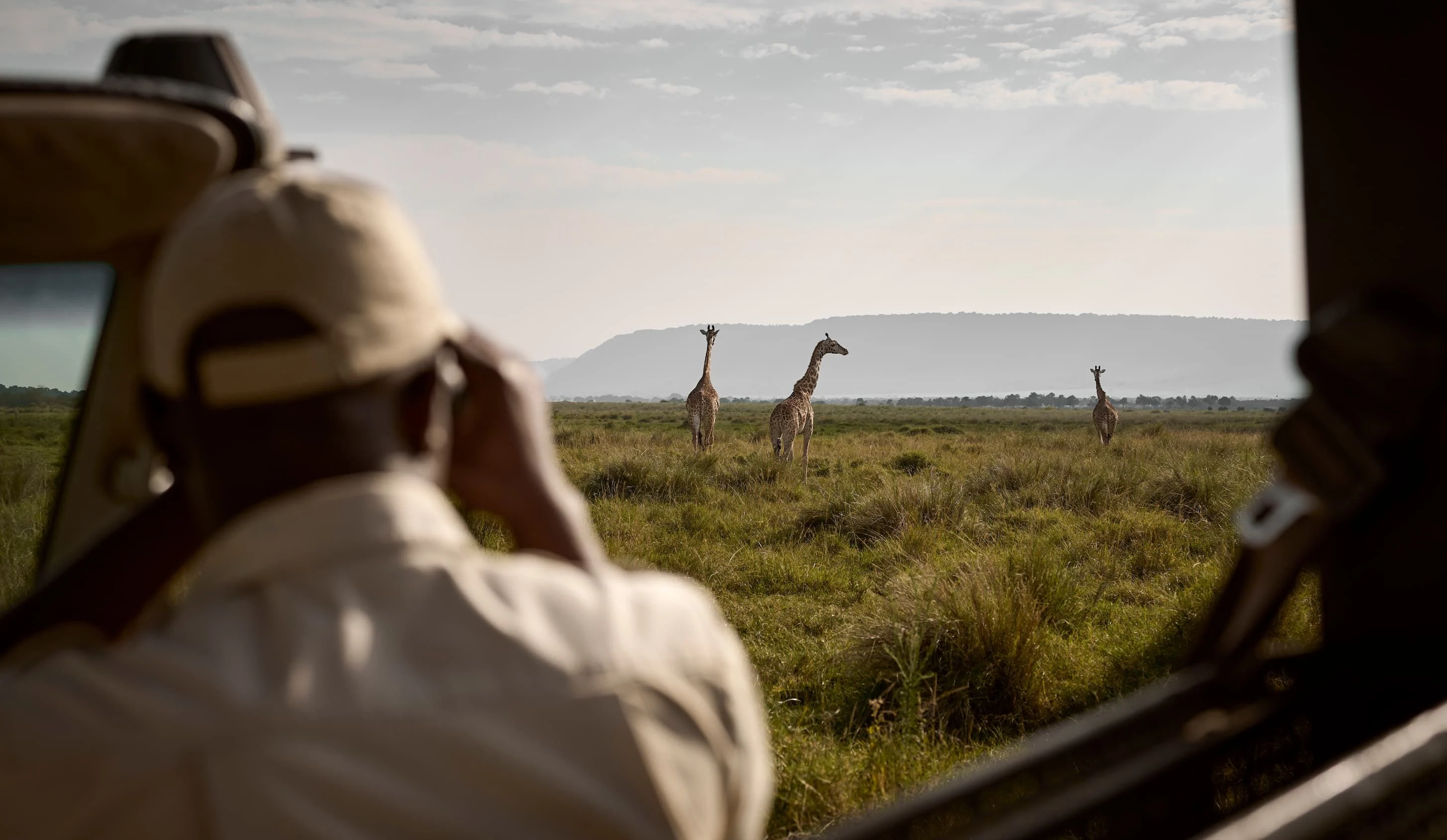 Wildlife Safaris